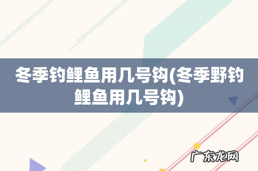 冬季野钓鲤鱼用几号钩 冬季钓鲤鱼用几号钩