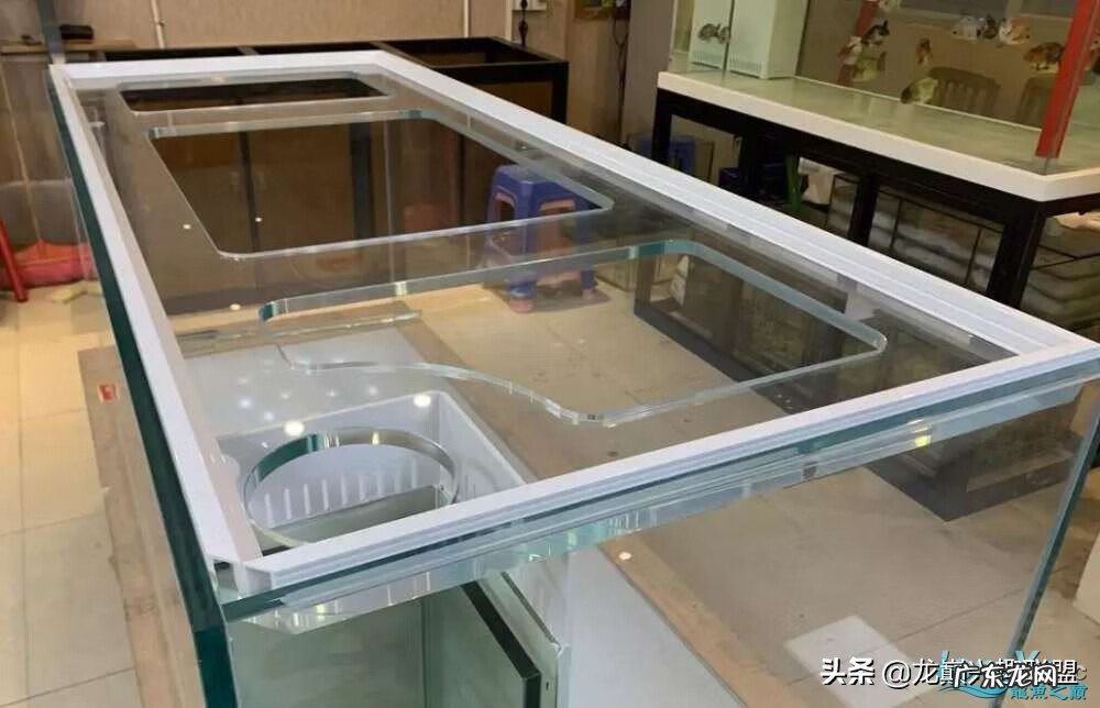 水草缸有盖好还是没有盖子好 鱼缸买有盖的好还是没盖的好