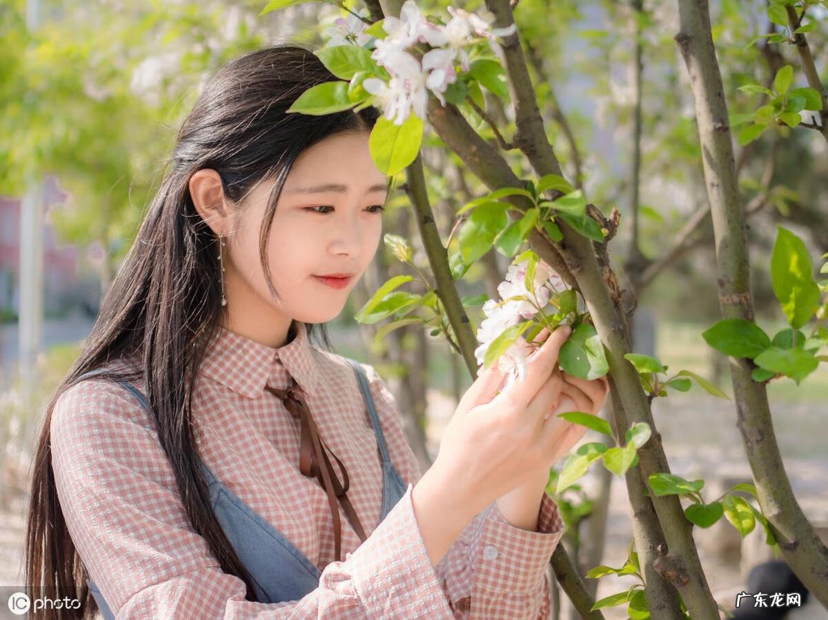 英语四级作文题型模板 英语四级作文模板