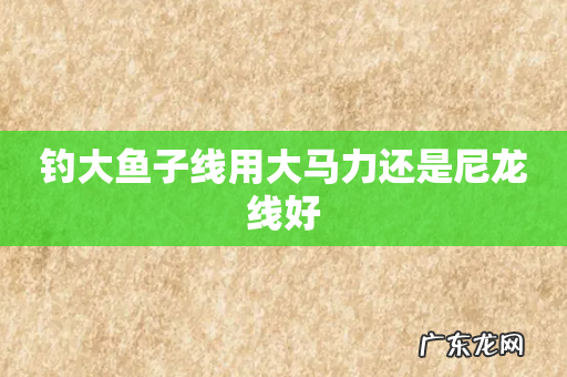 钓大鱼子线用大马力还是尼龙线好