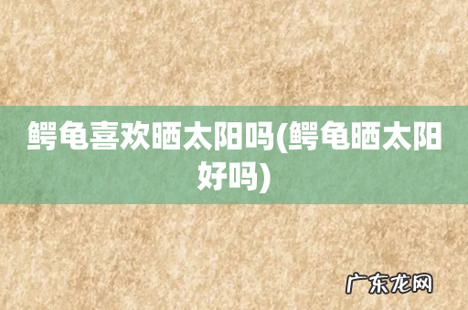 鳄龟晒太阳好吗 鳄龟喜欢晒太阳吗