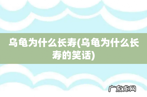 乌龟为什么长寿的笑话 乌龟为什么长寿