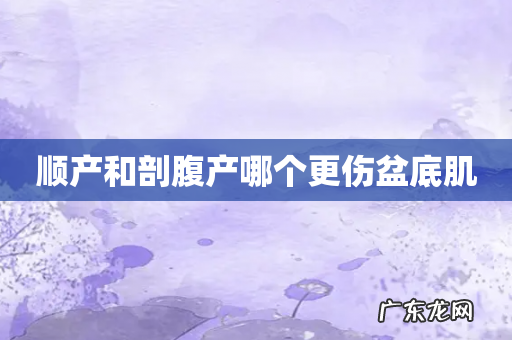 顺产和剖腹产哪个更伤盆底肌