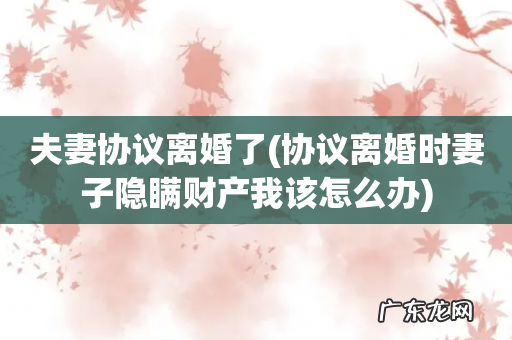 协议离婚时妻子隐瞒财产我该怎么办 夫妻协议离婚了