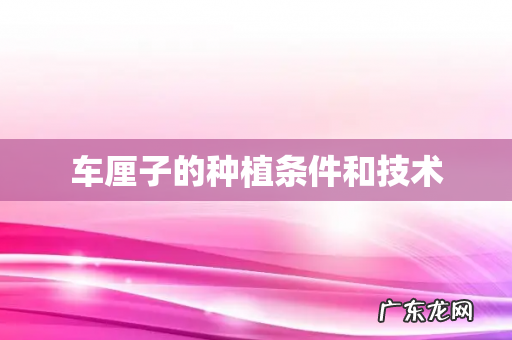 车厘子的种植条件和技术