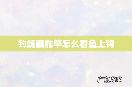 钓鲢鳙抛竿怎么看鱼上钩