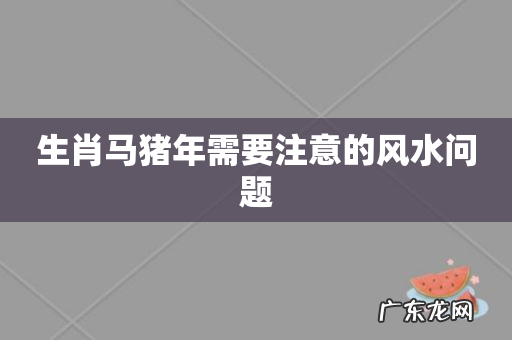 生肖马猪年需要注意的风水问题