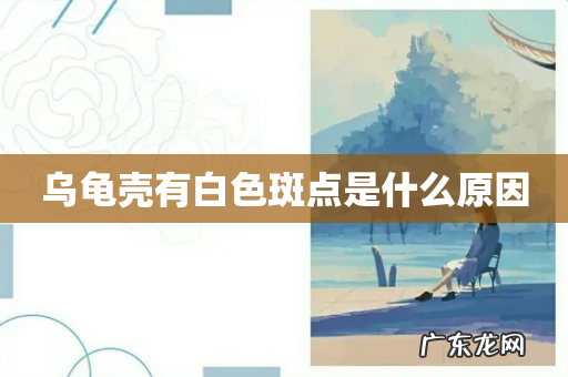 乌龟壳有白色斑点是什么原因