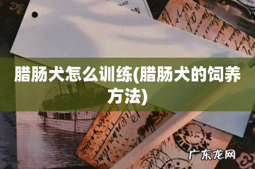 腊肠犬的饲养方法 腊肠犬怎么训练