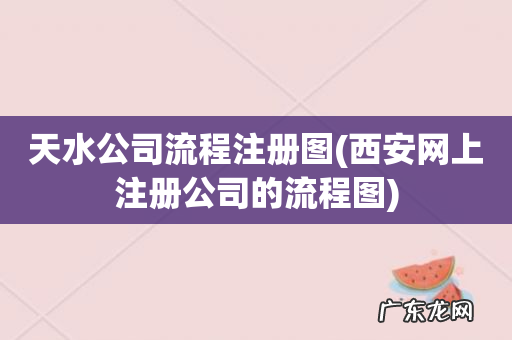 西安网上注册公司的流程图 天水公司流程注册图