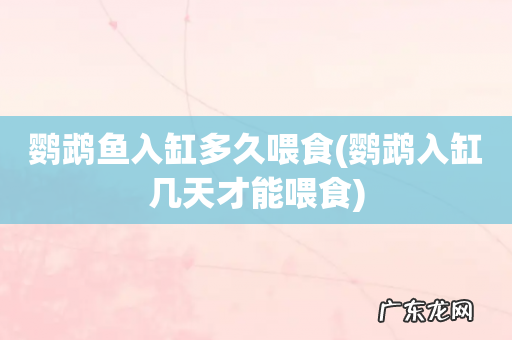 鹦鹉入缸几天才能喂食 鹦鹉鱼入缸多久喂食