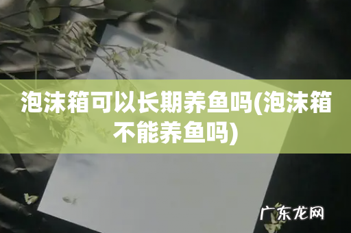 泡沫箱不能养鱼吗 泡沫箱可以长期养鱼吗