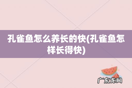 孔雀鱼怎样长得快 孔雀鱼怎么养长的快