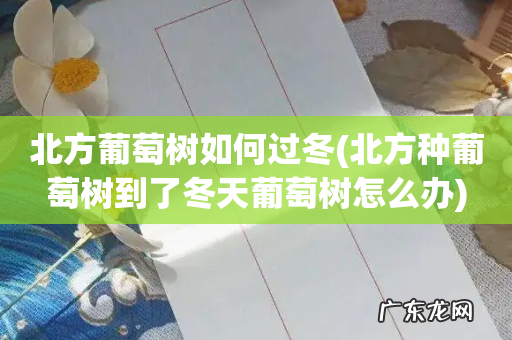 北方种葡萄树到了冬天葡萄树怎么办 北方葡萄树如何过冬