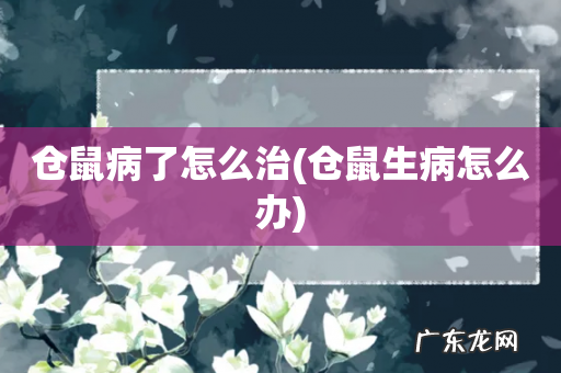 仓鼠生病怎么办 仓鼠病了怎么治