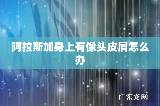 阿拉斯加身上有像头皮屑怎么办