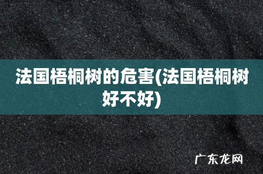 法国梧桐树好不好 法国梧桐树的危害