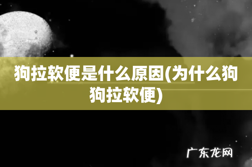 为什么狗狗拉软便 狗拉软便是什么原因