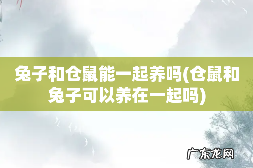 仓鼠和兔子可以养在一起吗 兔子和仓鼠能一起养吗