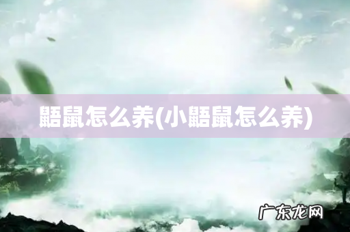 小鼯鼠怎么养 鼯鼠怎么养