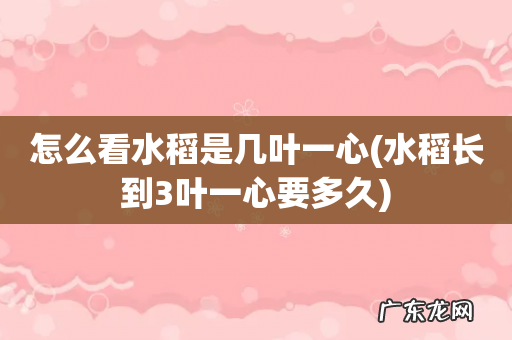 水稻长到3叶一心要多久 怎么看水稻是几叶一心