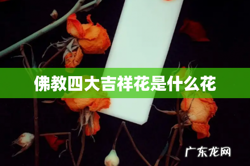 佛教四大吉祥花是什么花