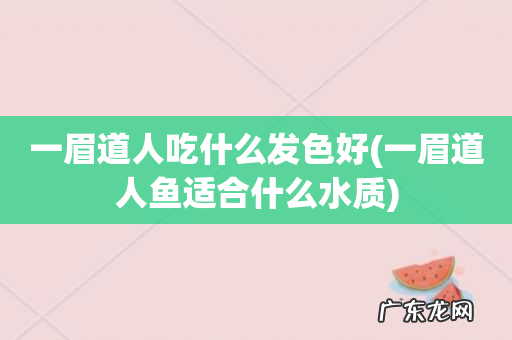 一眉道人鱼适合什么水质 一眉道人吃什么发色好