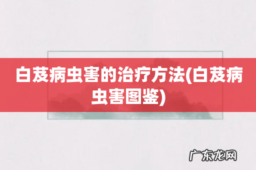 白芨病虫害图鉴 白芨病虫害的治疗方法