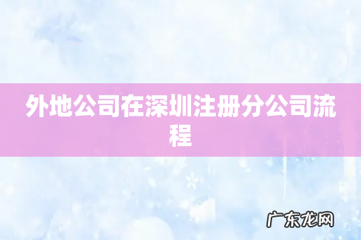 外地公司在深圳注册分公司流程