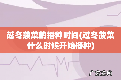 过冬菠菜什么时候开始播种 越冬菠菜的播种时间