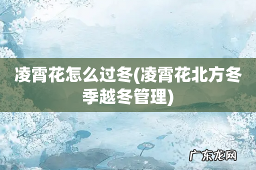凌霄花北方冬季越冬管理 凌霄花怎么过冬