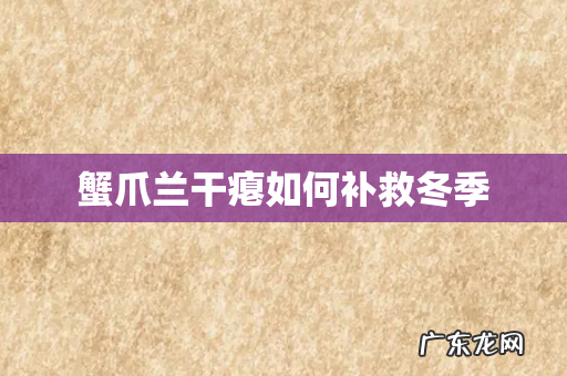 蟹爪兰干瘪如何补救冬季
