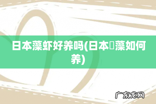 日本篢藻如何养 日本藻虾好养吗