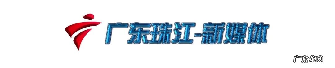 腐乳饼是什么做的 腐乳饼的做法大全