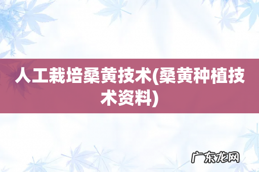 桑黄种植技术资料 人工栽培桑黄技术