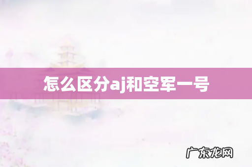 怎么区分aj和空军一号