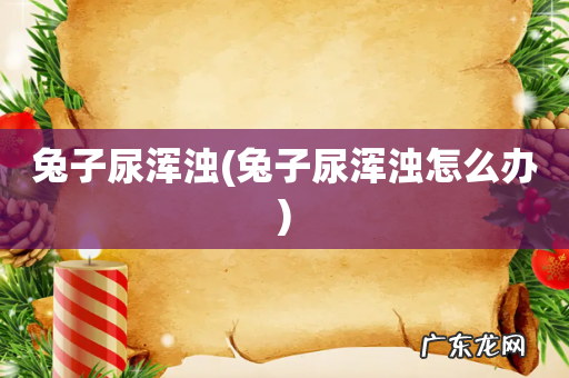 兔子尿浑浊怎么办 兔子尿浑浊