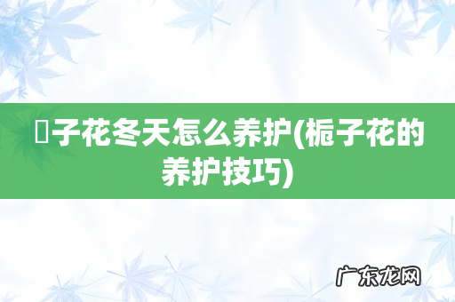 栀子花的养护技巧 枙子花冬天怎么养护