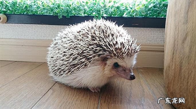 新世界日语专业 新世界日语怎么说