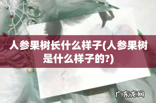 人参果树是什么样子的? 人参果树长什么样子