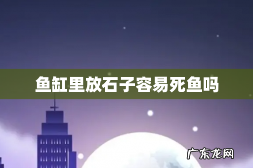 鱼缸里放石子容易死鱼吗