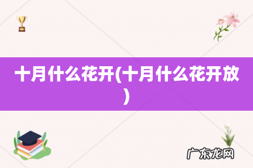 十月什么花开放 十月什么花开