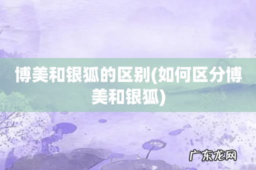 如何区分博美和银狐 博美和银狐的区别