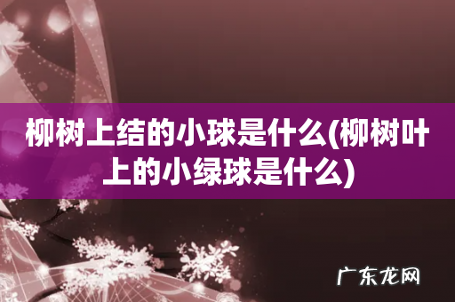 柳树叶上的小绿球是什么 柳树上结的小球是什么