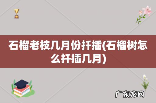 石榴树怎么扦插几月 石榴老枝几月份扦插