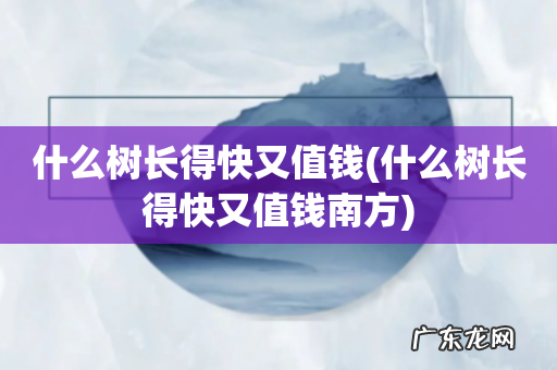 什么树长得快又值钱南方 什么树长得快又值钱