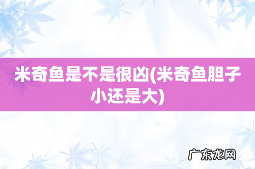 米奇鱼胆子小还是大 米奇鱼是不是很凶