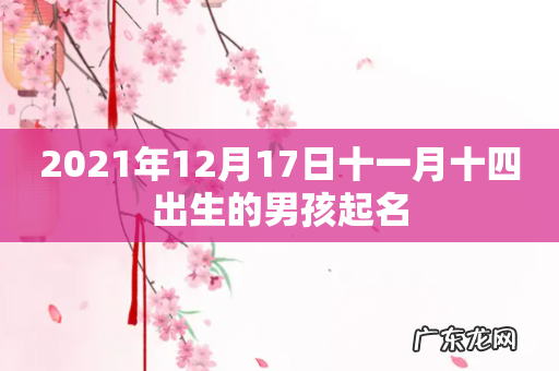 2021年12月17日十一月十四出生的男孩起名