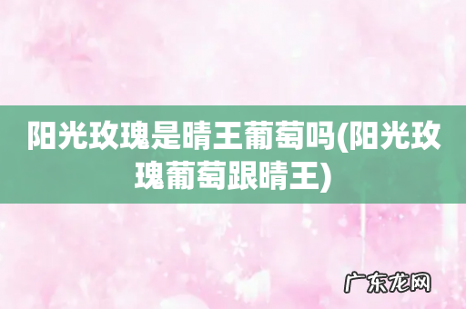 阳光玫瑰葡萄跟晴王 阳光玫瑰是晴王葡萄吗