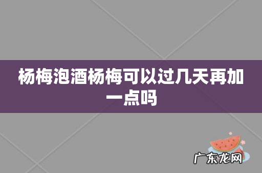 杨梅泡酒杨梅可以过几天再加一点吗